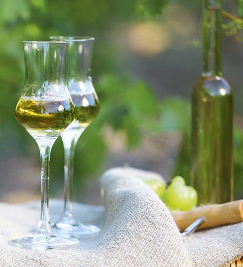 Τσίπουρο Θεσσαλίας / Tsipouro of Thessaly
